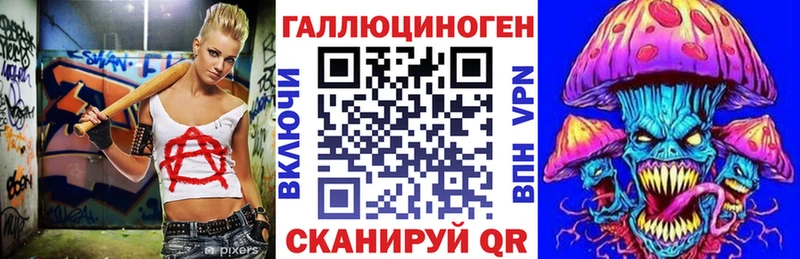 Галлюциногенные грибы Psilocybe  Инсар 
